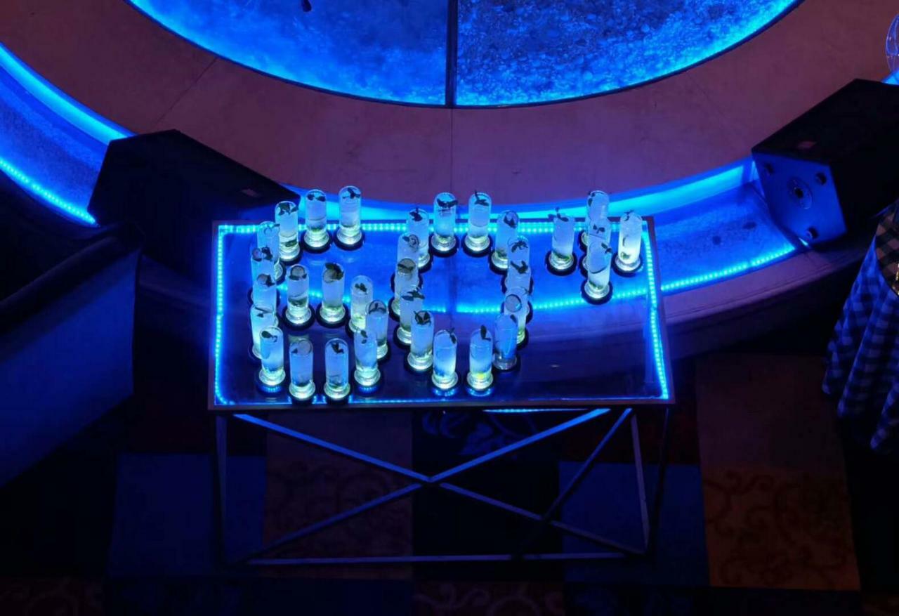 Ramada Plaza Optics Valley Hotel Wuhan Exteriör bild